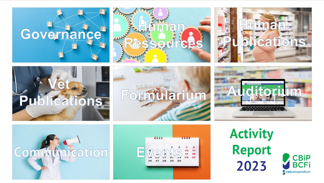 Activity report 2023